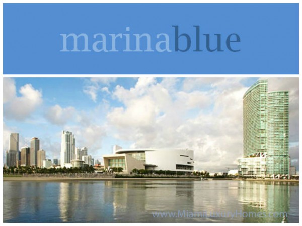 Marina Blue Condominium Skyline