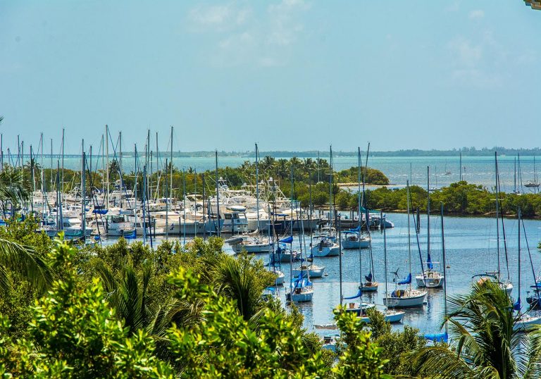 Fire Sale in Coconut Grove's Prestigious Cloisters on the Bay Miami