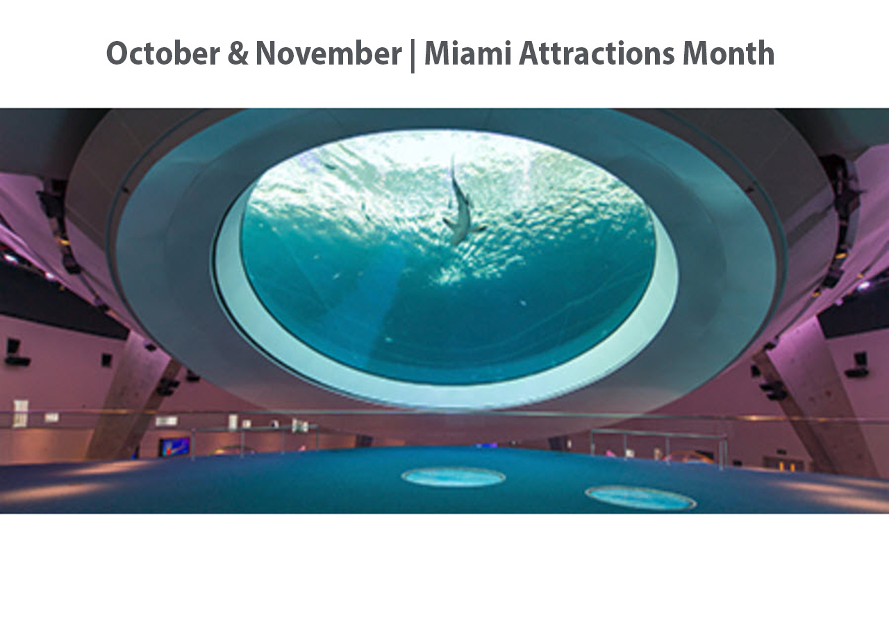Miami Attractions Month