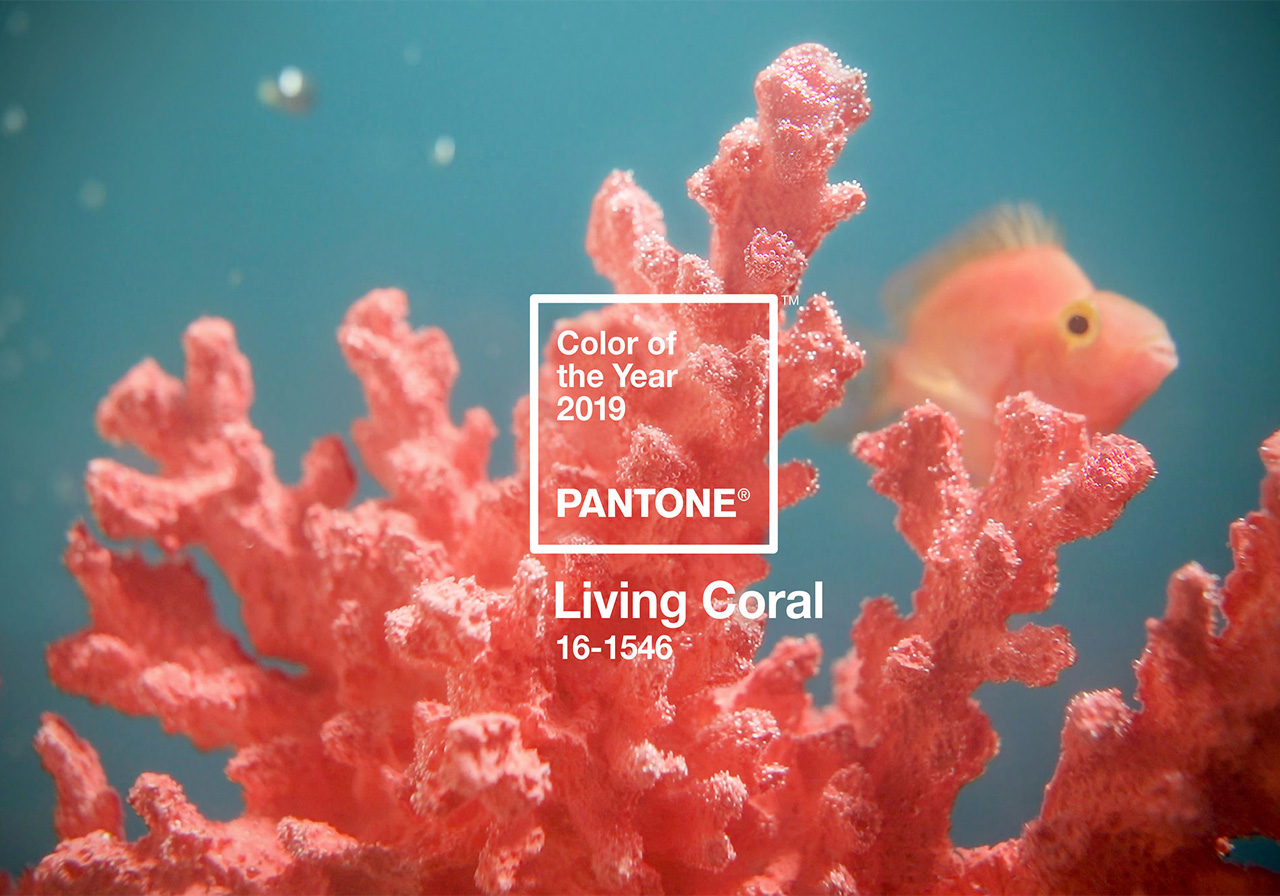 The Pantone 2019 Color of the Year is ‘Living Coral’