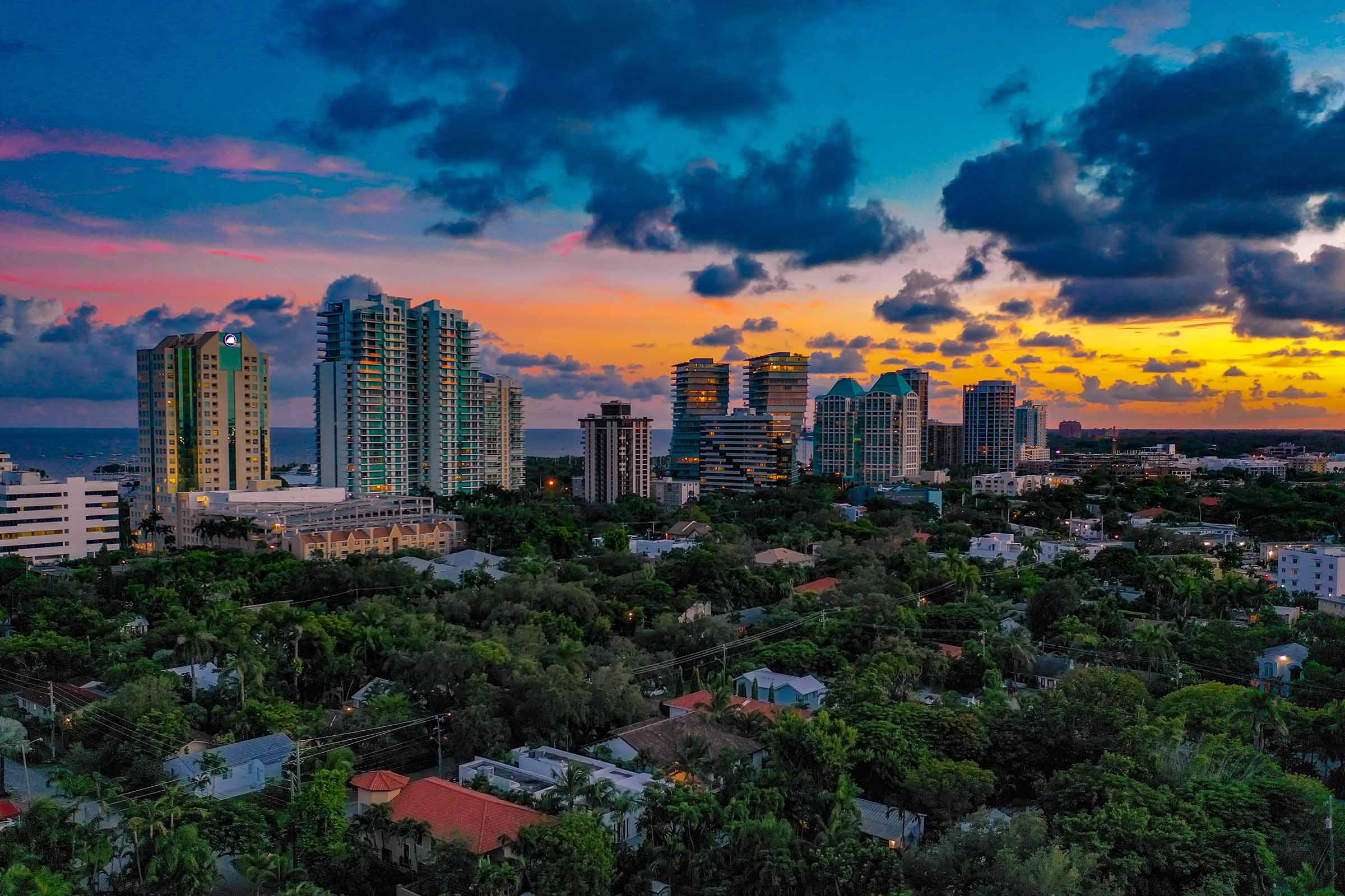 Coconut Grove Skyline