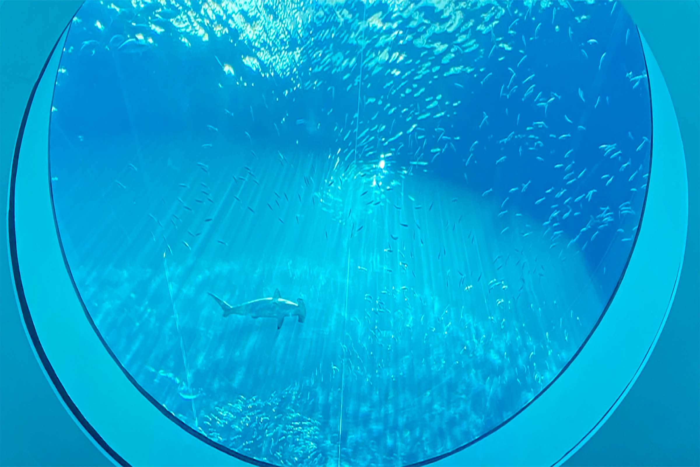 Frost Science Museum Aquarium Miami Kids Frost Science Museum Aquarium Miami Kids